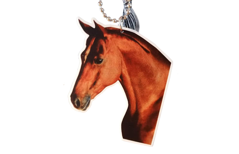anhänger_pferd